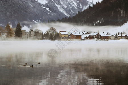 在阿尔卑斯山湖边的瑞士村上观望图片