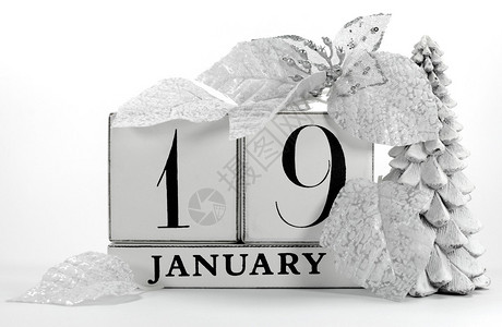 为1月19日的生日活动婚礼或网站活动保存带有白色冬季主题雪覆盖松树雪花和一品红花的Date复古破背景图片