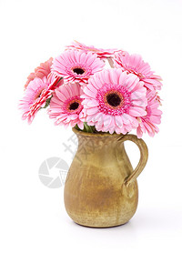 花瓶中粉红色的Ger图片