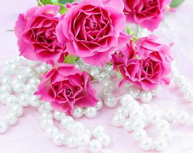 粉红玫瑰和珍珠图片