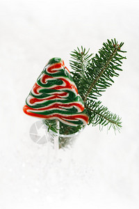 圣诞树棒糖和松树叶子在节日的圣诞雪背景上图片