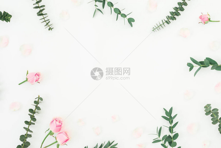粉红玫瑰和白底的叶卡利普图斯的花朵模式平坦的躺着图片