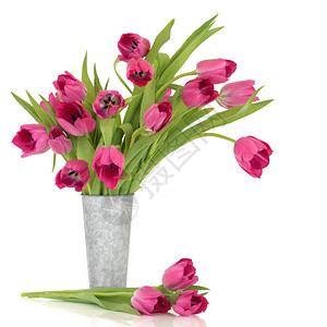粉红色的郁金香花朵在压抑的铝花瓶里分散图片