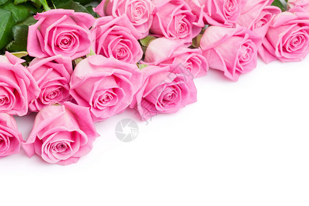 带有粉色玫瑰花的情人夜背景白色与图片