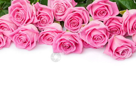 带有粉色玫瑰花的情人夜背景白色与图片