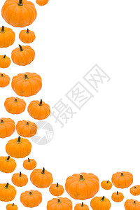 Pumpkins以白色背景秋天背景图片