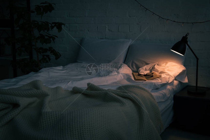 夜间黑夜柜上空床植物和灯具上带书和眼图片