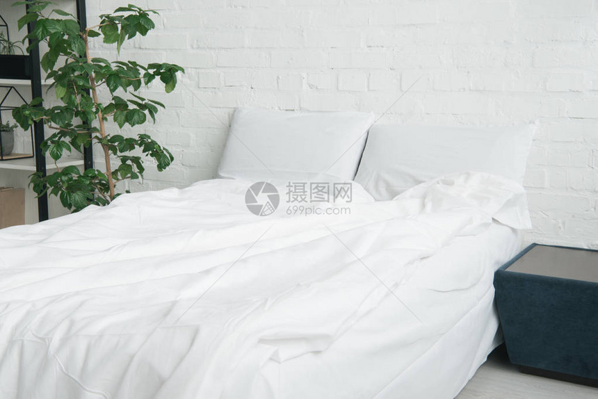 带白色毯子和枕头植物和黑色床头柜的床图片