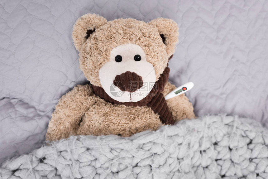 床上有温度计的泰迪熊顶视图图片