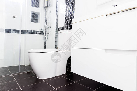 现代设计家用浴室厕所和洗手间中的白椰图片