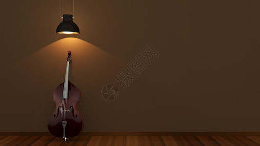 带有古典低音提琴的室内设计图片