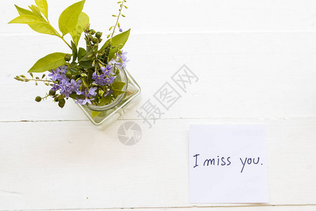 我想念你带紫花在瓶子里的留言卡背景图片