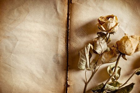 玫瑰花束和旧书图片