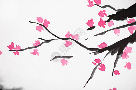 日本画风的樱花花枝图片