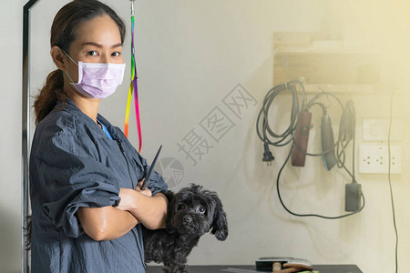 在宠物美容院女美容师拿着剪刀猫和狗图片