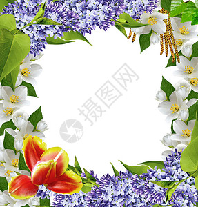 紫丁香春花框架设计图片