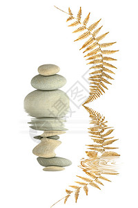 泽园的灰色温泉石摘要与金黄叶和波纹水的反射完全平衡在白色背景上图片