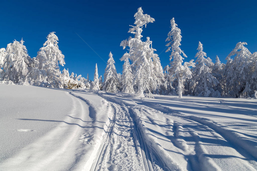 乌拉尔山上的冬季雪覆盖树木有一辆雪车的图片