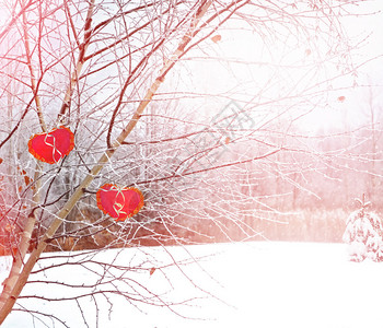 雪中的树木HeartHoliday卡图片