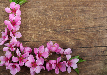粉色鲜花装饰的木质背景图片