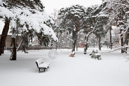 暴风雪后的雪城公园图片