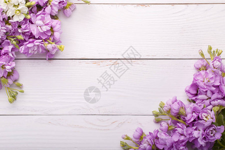 浅灰石底面的Lilac背景图片