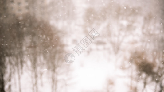 冬季模糊背景与运动中的雪花图片