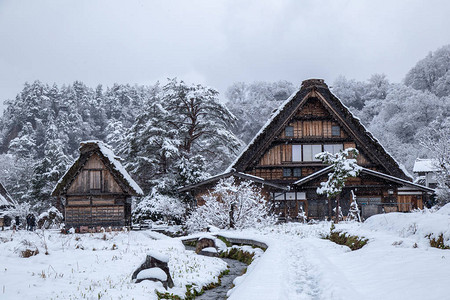 冬季的白川果村图片