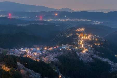 奈良县吉野山夜景背景