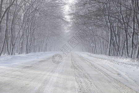 雪后美丽的空荡的冬路图片