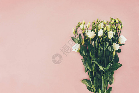 花束美丽的白色枯叶花朵粉红图片