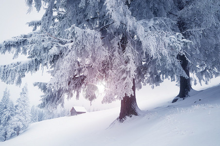 山村的冬天彩色图画上一片美丽图片