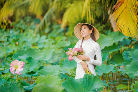 越南妇女在时采莲背景图片