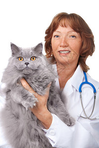 兽医与猫分离图片