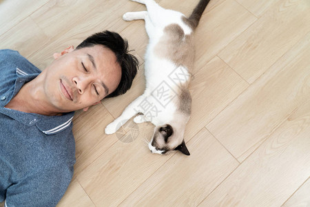 亚洲男人和老猫躺在图片