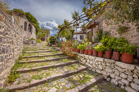 希腊LesbosMolyvos村绿色植图片