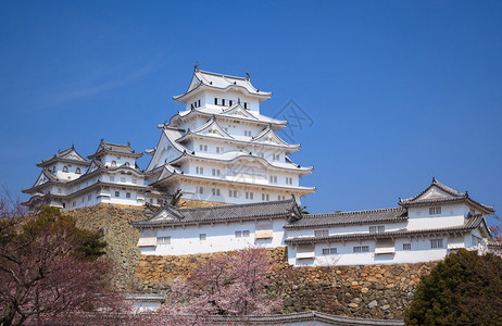 春天樱花季节的姬路城日本兵库图片