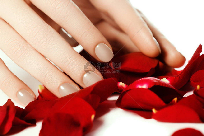 完美的修指甲女人的双手修剪整齐的天然米色指甲美丽的女手指与天然米色修指甲水疗和美丽的手指特写镜图片