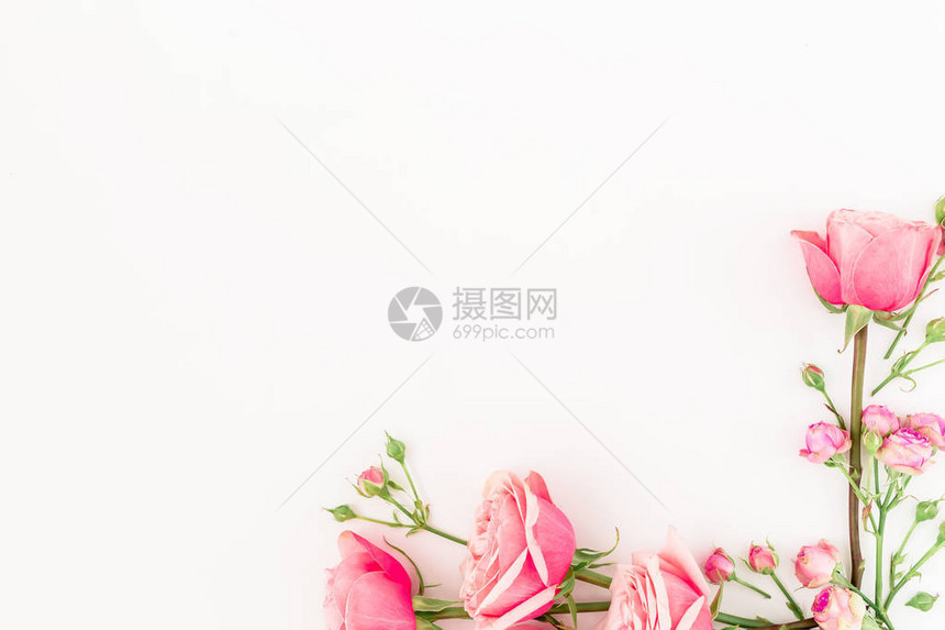 白色背景上嫩粉红玫瑰的装饰图片