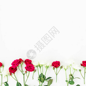白色背景上嫩粉色花朵的装饰图片