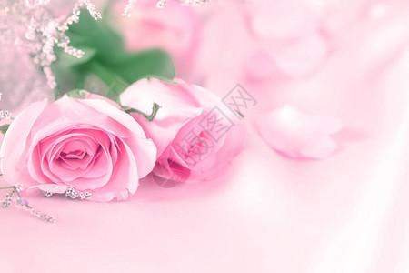温柔甜蜜的玫瑰花为图片
