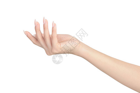 女用指甲手的指甲手图片
