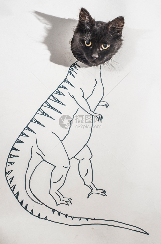 强猫概念图恐龙图图片