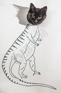 强猫概念图恐龙图图片
