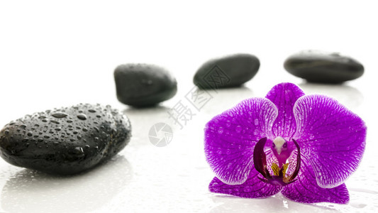 用水滴按摩石头和紫兰花背景图片