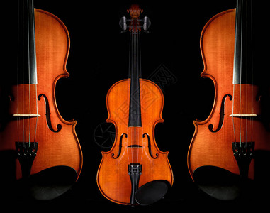 黑色背景上的特写小提琴图片