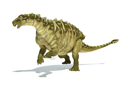 恐龙脊椎动物甲藻高清图片