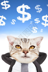 商人和猫头思考金钱图片