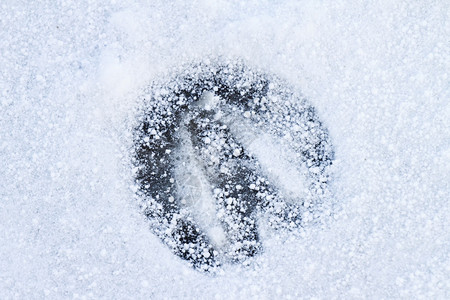 雪中马的足迹图片