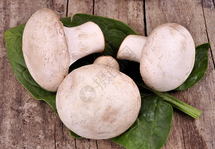 美味的玉米蘑菇可以做饭了食物成分放在木制桌上图片